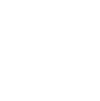 White ISO 9001 Logo