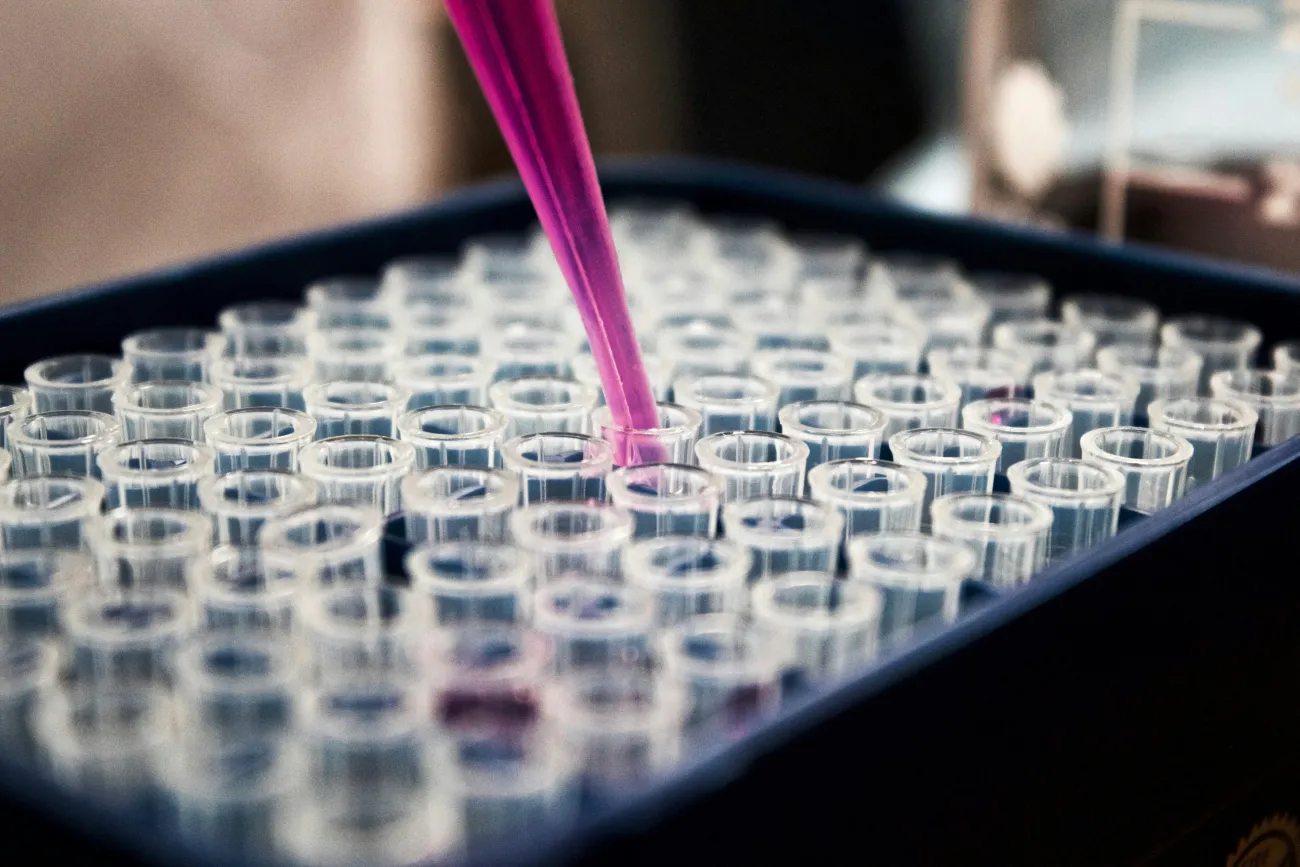 scientist pouring liquid into vials
