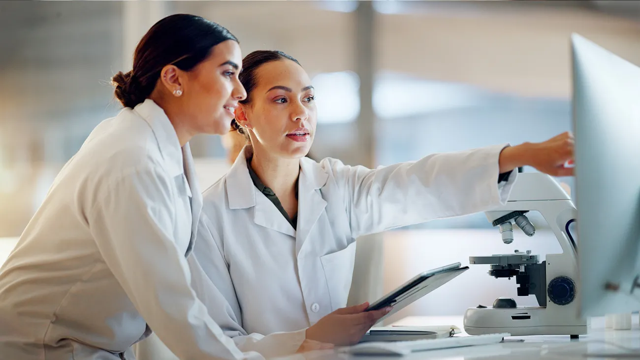 two partners mentoring on computer