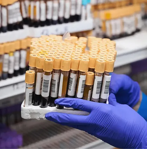 Gloved hands holding a tray of blood samples during temperature mapping in a controlled storage environment.