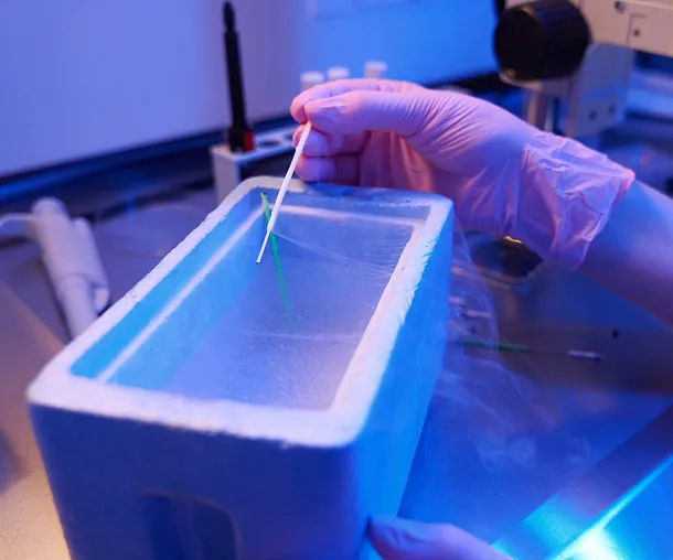 Gloved hand Inserting a temperature probe into a cryogenic container for regulatory-compliant monitoring.